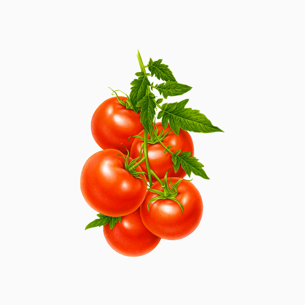 Organic Chilli