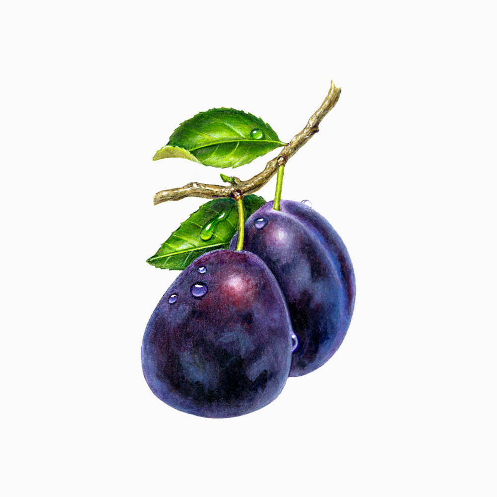 Organic Chilli