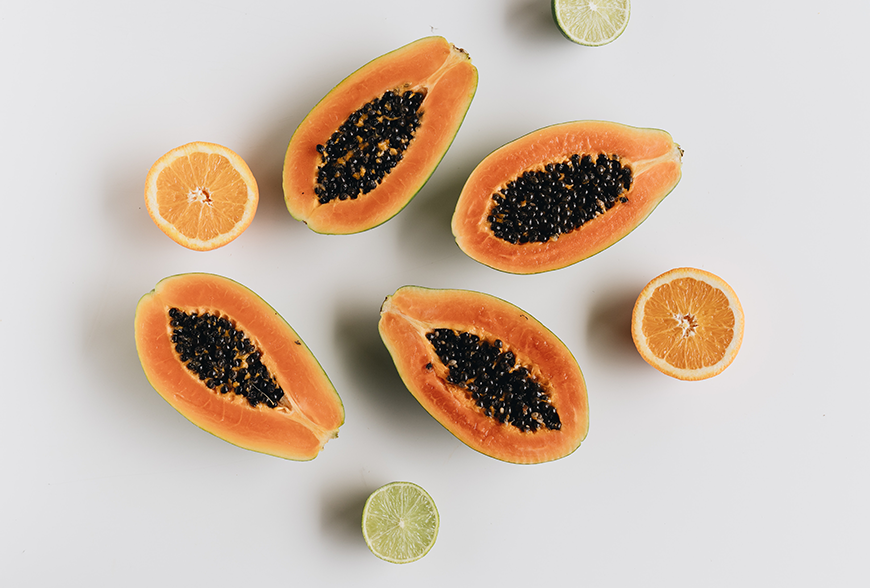 Scelerisque vestibulum...