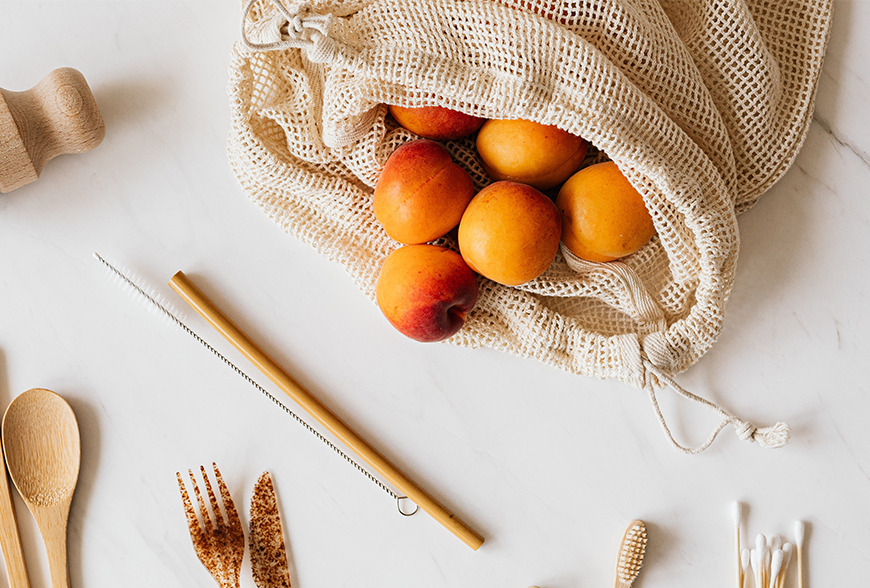 Scelerisque vestibulum urna